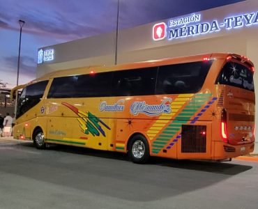 WhatsApp Image 2025-09-19 at 9.29.51 AM (7)