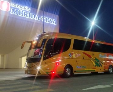 WhatsApp Image 2025-09-19 at 9.29.52 AM (1)