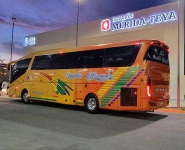 WhatsApp Image 2025-09-19 at 9.29.52 AM